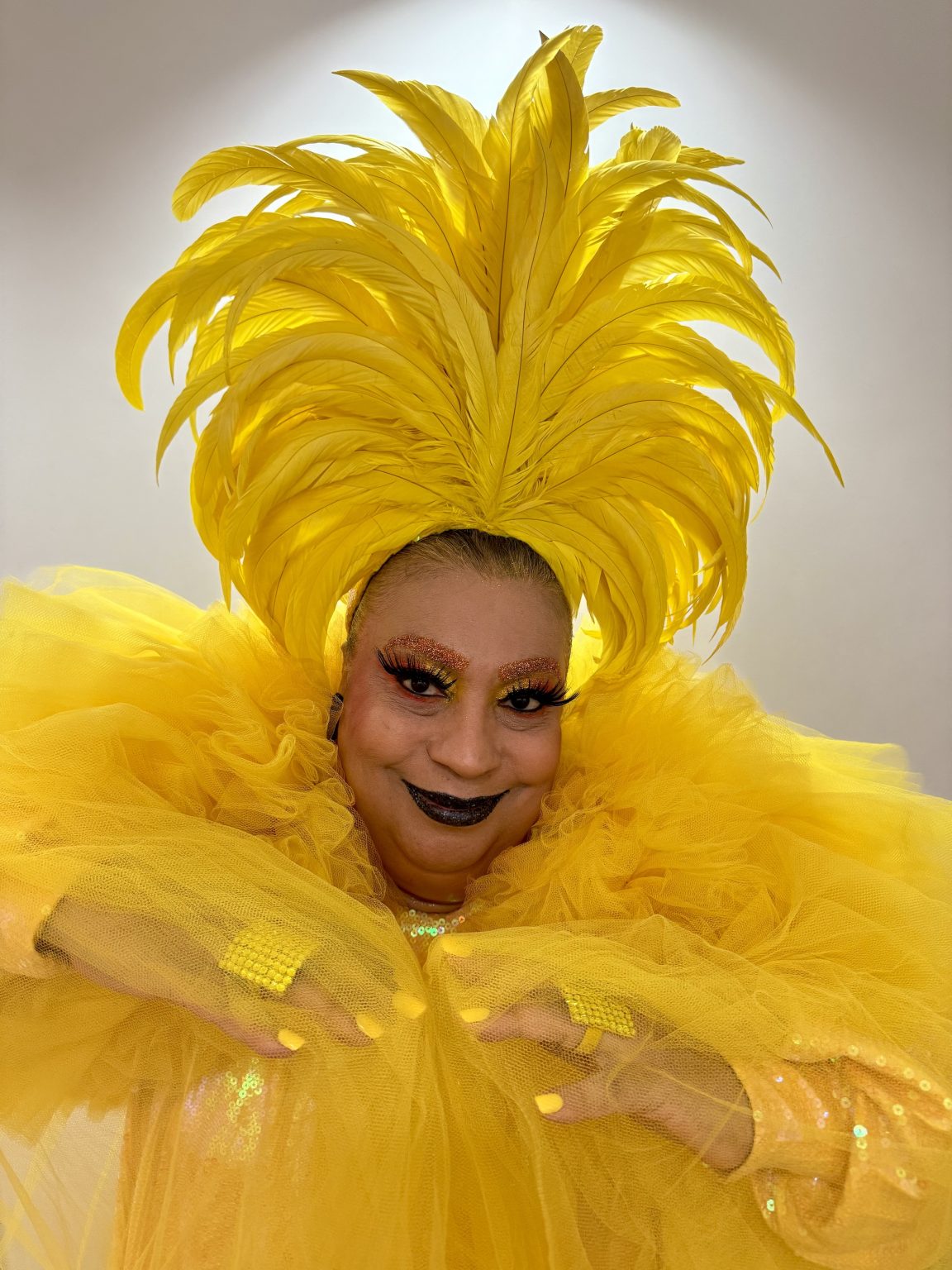 Maria Alcina Rodrigo de Araujo1