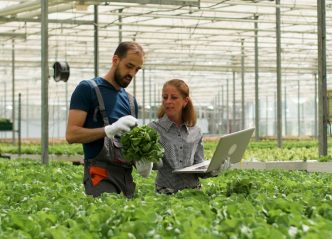 Negocios no Campo Sebrae Balcao News