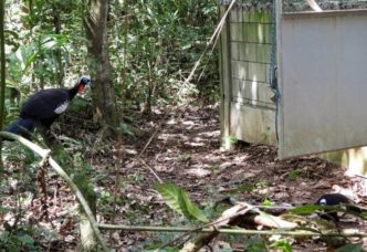 Coluna MG 9 4 25 Balcao News 1