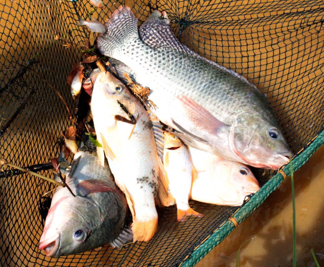 WhatsApp Image 2025 04 16 at 15.41.00