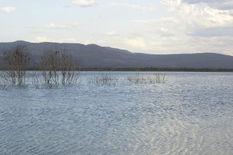 Almg crise climetica Clarissa Barcante Balcao News 5 5 25