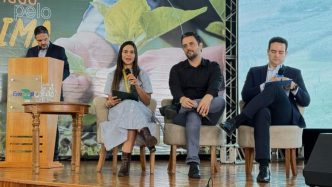 Artigos 8 5 25 Balcao News
