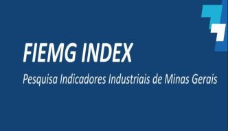 Fiemg Index 2