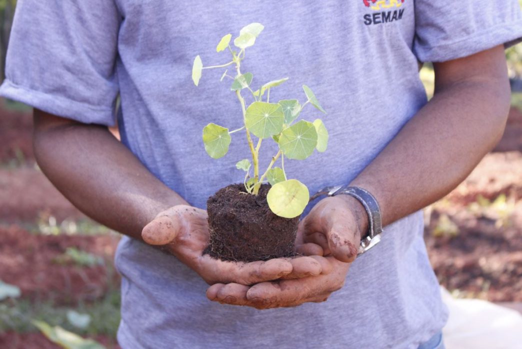 Programa Quntal Protegido
