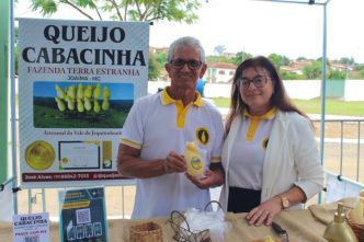 Artigos Coluna MG 7 6 25 Balcao News