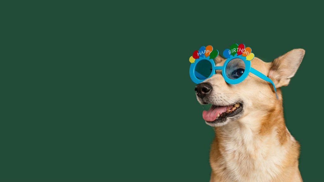 Folia Pet