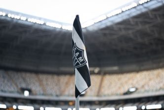 Galo meio pau