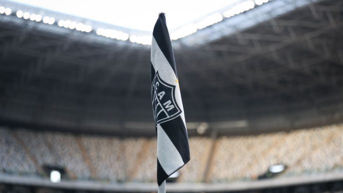 Galo meio pau