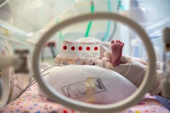 Teste do pezinho FABIO MARCHETTO