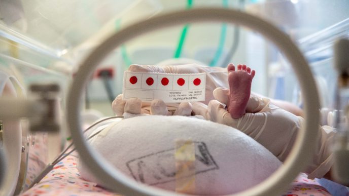 Teste do pezinho FABIO MARCHETTO