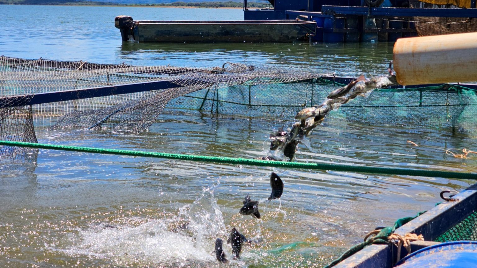 Governo de Minas suspende benefício fiscal