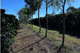 image 870x580 69e0f54bcd14c