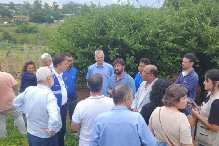 image 870x580 69e3a052bb9d1