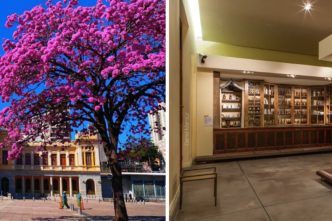 image 870x580 69e91678d90c9