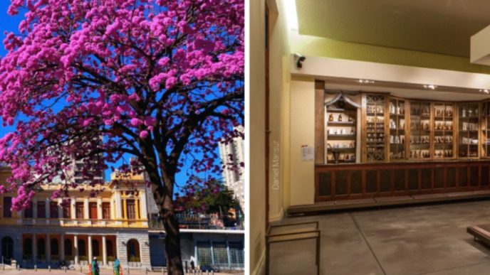 image 870x580 69e91678d90c9