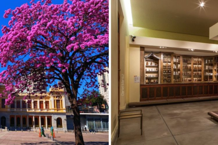 image 870x580 69e91678d90c9