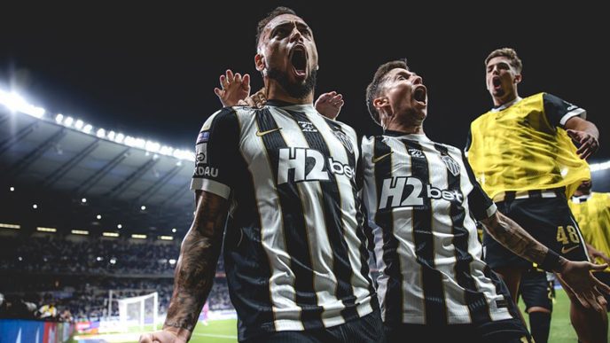 Galo Forte Vingador