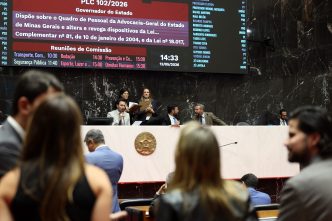 faccoes Elizabete Guimaraes