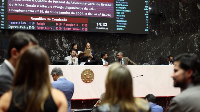 faccoes Elizabete Guimaraes