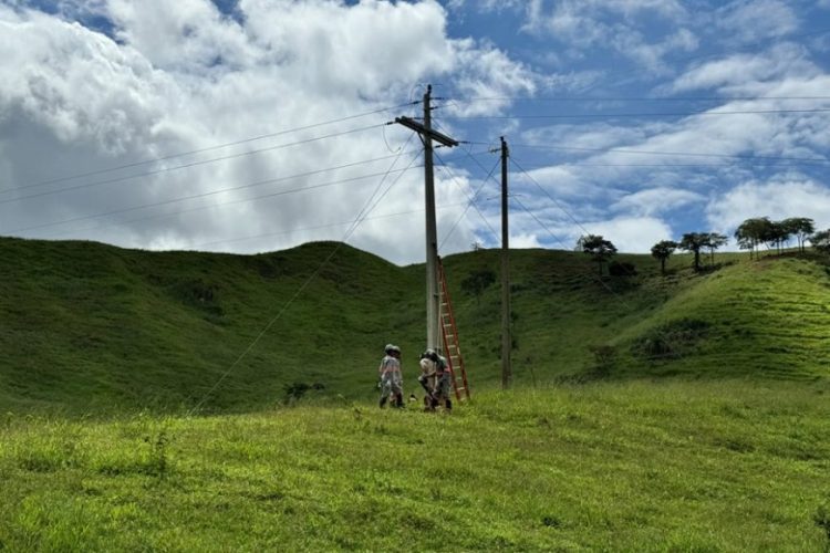 Eletrificação rural recebe investimentos – SINDIJORI