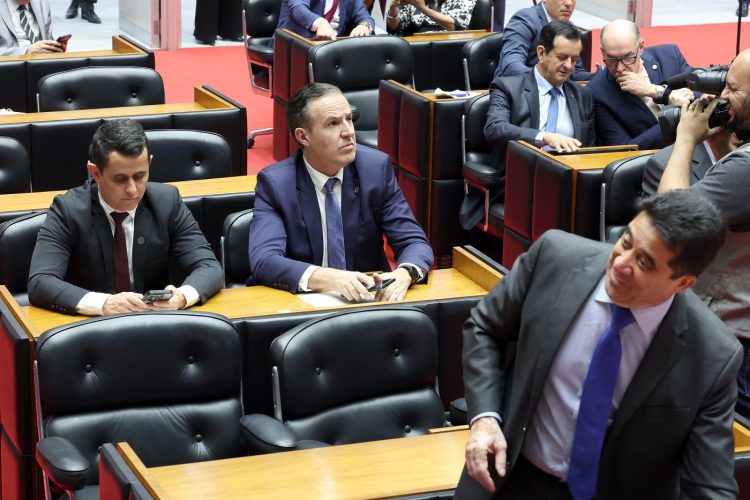 ALMG aprova equoterapia para pessoas com deficiência