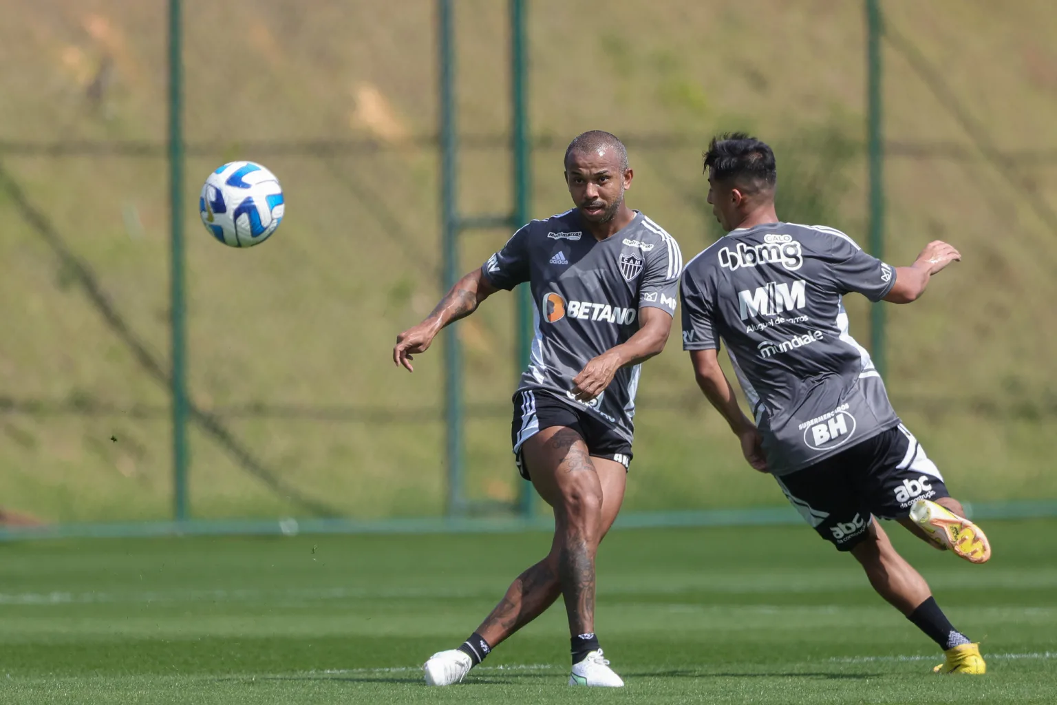 53083779187 0f1fa9dad3 k