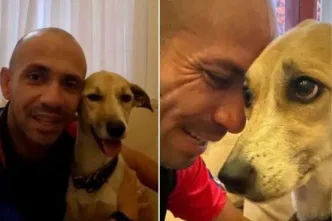 image 750x500 61f7efd591c4c