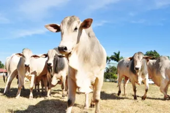 image 750x500 639b5d95d1693