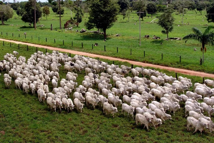 image 870x580 63fbb65a9ed52 1