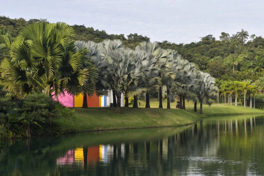 image 870x580 647006b47db2e 1