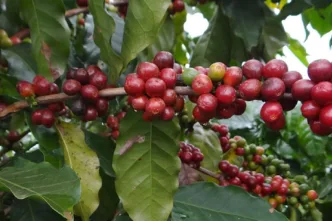 image 870x580 649b0ea838f9c 1