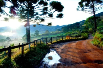 image 870x580 64a76d0eee0ba 1