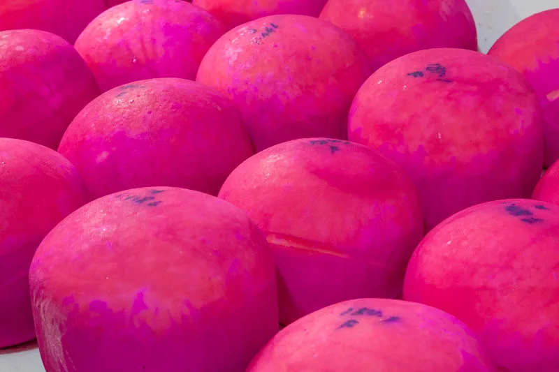 atrativo queijo do reino santos dumont credito breno matias lucas nishimoto santos dumont queijo do reino