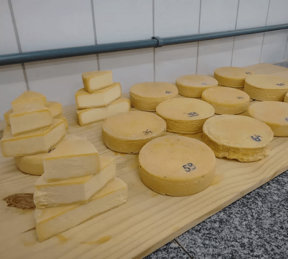Queijo na Estrada Real: Um Mapa de Sabores e Tradições 3 Queijo Minas Artesanal Campo das Vertentes — Foto Daniel Pereira 1