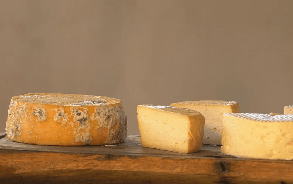 Queijo na Estrada Real: Um Mapa de Sabores e Tradições 4 Queijo Minas Artesanal do Serro — Foto Devanir Gino
