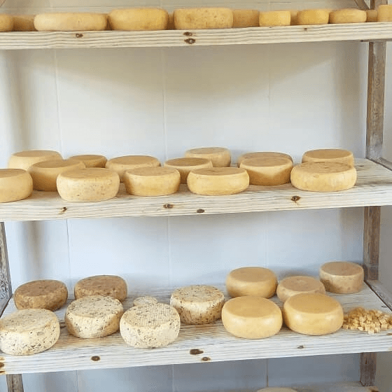 Queijo na Estrada Real: Um Mapa de Sabores e Tradições 8 Queijo regiao Entre Serras foto conhecaminas.com