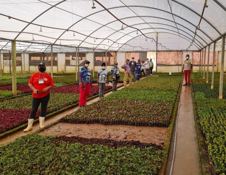 Viveiristas Epamig 17 06 24 1