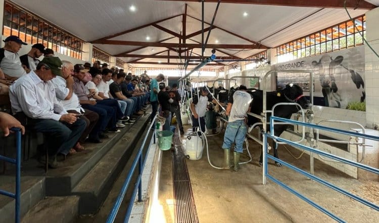 Coluna MG 2 7 24 Balcao News Divulgacao
