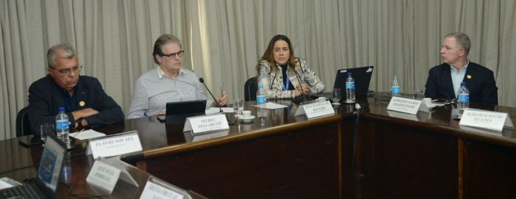 Fiemg Camara de Energia Gas e Petroleo Balcao News 24 8 24 SJJ