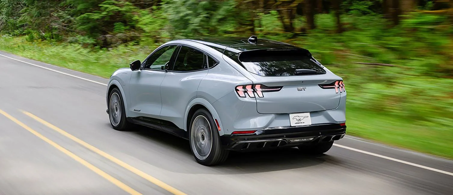 Carro elétrico cinza na estrada cercada de vegetação