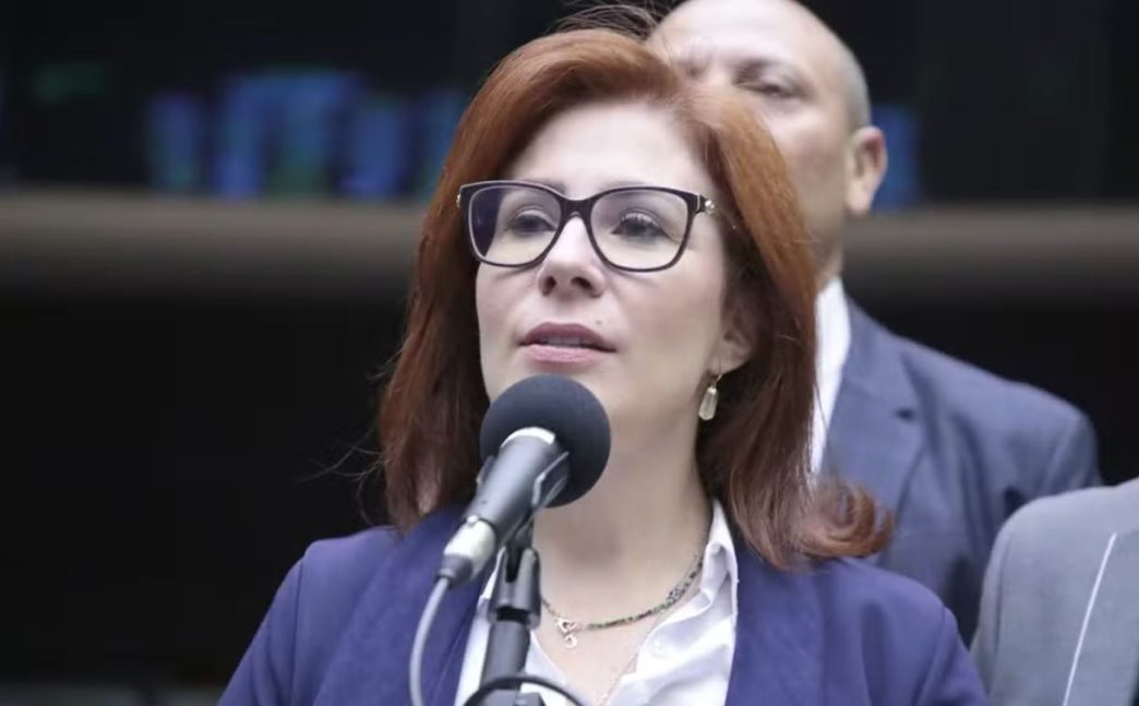 Deputada federal discursando ao microfone, com expressão firme, vestida formalmente, diante de fundo institucional desfocado.