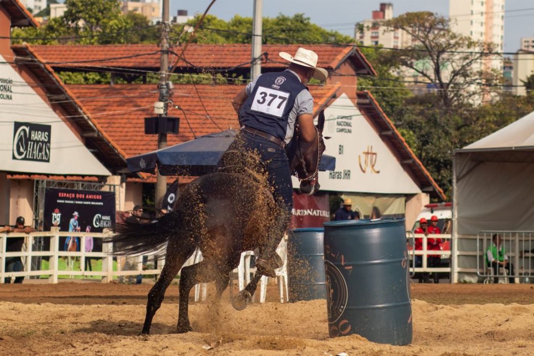 Cavaleiro realiza prova de tambor montado em cavalo Campolina durante a 45ª Exposição Nacional no Parque da Gameleira, em BH.