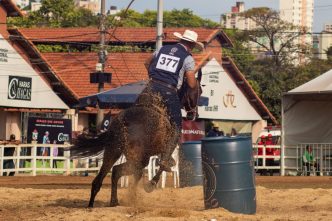 Cavaleiro realiza prova de tambor montado em cavalo Campolina durante a 45ª Exposição Nacional no Parque da Gameleira, em BH.