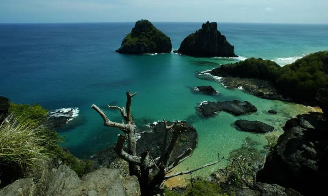 Vista panorâmica das águas cristalinas e das formações rochosas da Baía dos Porcos, em Fernando de Noronha, com vegetação nativa ao redor e mar calmo ao fundo.