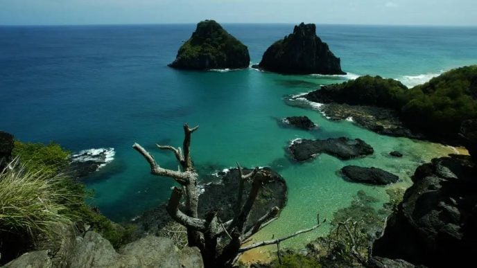 Vista panorâmica das águas cristalinas e das formações rochosas da Baía dos Porcos, em Fernando de Noronha, com vegetação nativa ao redor e mar calmo ao fundo.