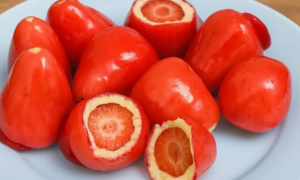 morando do amor Receita Ja Agencia Brasil 17 8 25 Balcao News