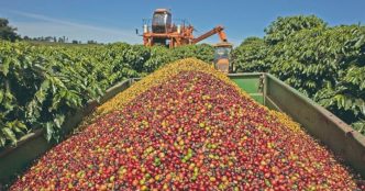 Coluna MG 8 9 25 Marcus Desimori Nitro DC Balcao News