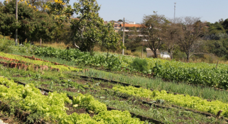 Zoo de BH referencia nacional em horta Suziane Brugnara Balcao News 6 9 25