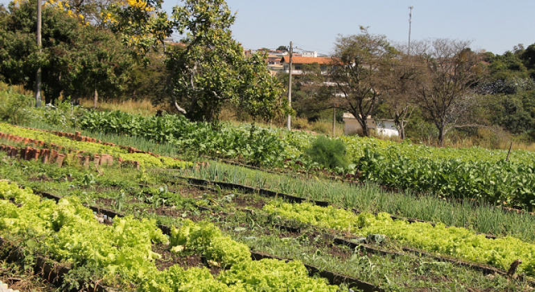 Zoo de BH referencia nacional em horta Suziane Brugnara Balcao News 6 9 25