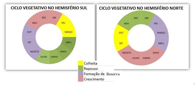ciclo vegetativo art 2